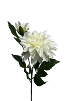 r8tb97gqknrmy0cx7tsb35qy14_preview_0-ezremove