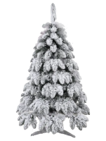 2025-01-05_09-48-34-edited-free (carve.photos)