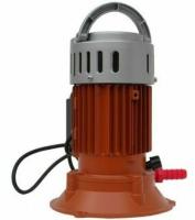 450x600 - 2024-07-22T135812.093