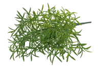 5eee781b541753597a0e5230d0dbeffe_1200x800x0-no-bg-preview (carve.photos)