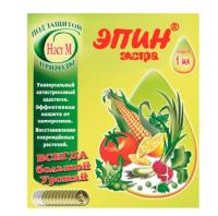 Новый точечный рисунок