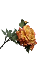 ycz6xajfwnrmt0cx7vt9p0fxsm_preview_0-ezremove