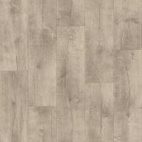 TH_GLADIATOR_SARATOGA_1