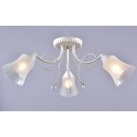 Св-к Амур PC21160 WT+FG-3C 3 рож.