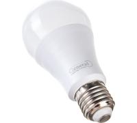 Лампа светодиодн. General 20W E27 4500K груша к.690000