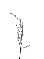 90v0gv1r95rmt0cx7vvs3yvj0w_preview_0-ezremove