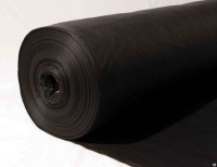 Безымянный