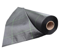 Безымянный