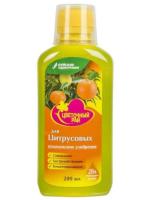 Новый точечный рисунок (91)