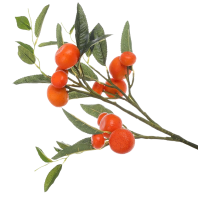 ff0bmts7ysrmw0cx5y3a796qyr_preview_0-ezremove