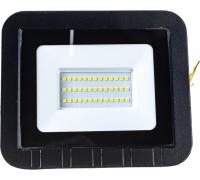 Прожектор Эра Pro LPR-061-0-65К-030 6500K 30Вт