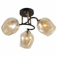 Св-к Rivoli Fernanda 9132-303 3рож.