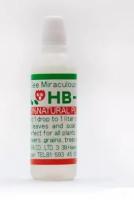 Новый точечный рисунок