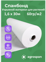 Безымянный