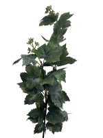 502cc42e-5267-49b7-a7d6-e3a0812d418e-no-bg-preview (carve.photos)