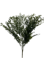 spqv78g2gnrmt0cx7w99knqw1c_preview_0-ezremove