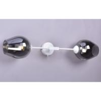 Св-к РС21422 WT-2W 2 рож.