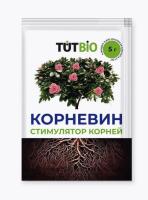 Новый точечный рисунок