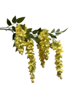 n4ff79rfzxrmy0cx8bcr7c4gr8_preview_0-ezremove