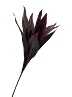 jfkhjes39nrmr0cx8gg8h2aaxc_preview_0-ezremove