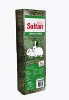 Новый точечный рисунок