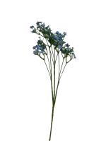 q0zcp8jphnrmw0cx7vh95rwcec_preview_0-ezremove