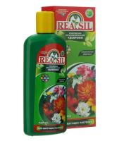 Новый точечный рисунок