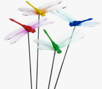 Безымянный4