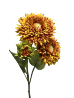 hk1t0d3d1hrmt0cx7tws20nksg_preview_0-ezremove