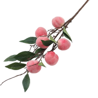 7390263587-edited-free (carve.photos)