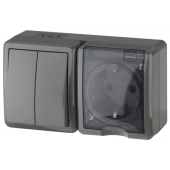 Блок роз. 1м с.з +выкл. 2кл серый IP54 Эксперт Эра арт. 11-7402-03