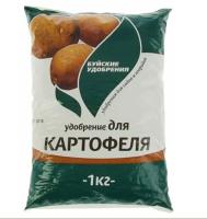 Новый точечный рисунок (91)