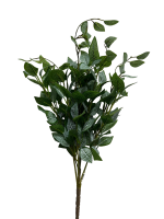 IMG_3284-no-bg-preview (carve.photos)