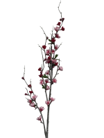 nny6ajz2k1rmr0cx7vqtx1zk24_preview_0-ezremove