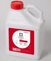 Новый точечный рисунок