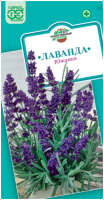 Screenshot 2024-03-27 at 14-55-45 ✔ Семена Лаванда узколистная Южанка 0 2г Гавриш Лекарственная по цене 42 руб. ◈ Большой выбор ◈ Купить по всей Росси