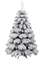 2025-01-05_09-50-26-edited-free (carve.photos)