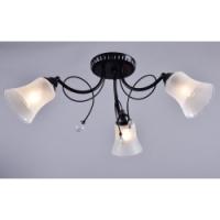 Св-к Амур PC21160 BK-3C 3 рож.