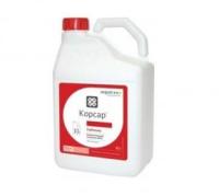 Новый точечный рисунок