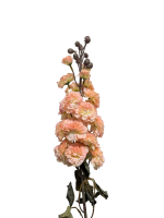 PXL_20260330_074023704_PORTRAIT_ORIGINAL~2-no-bg-preview (carve.photos)