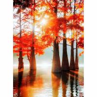 Пазлы дерев. Collection Flora Кипарисовое озеро 110шт арт.MPZCF3-M