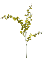 pqntmyhx55rmy0cx7vpr03d36c_preview_0-ezremove