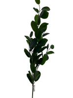 IMG_3288 (1)-no-bg-preview (carve.photos)