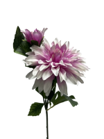 gzp6pnmjq5rmt0cx7ts8rdatgm_preview_0-ezremove