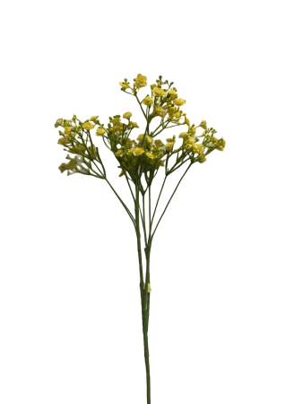 wn7xc927xdrmt0cx7vmvffx038_preview_0-ezremove