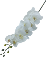 4094cx6ymhrmt0cx5ysshet34c_preview_0-ezremove