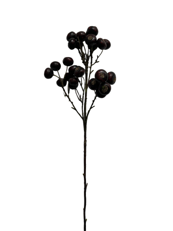 mngtrdwvnhrmr0cx8gd985paac_preview_0-ezremove