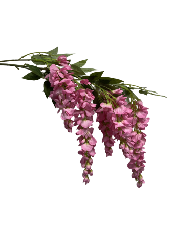 rqccgngfdxrmw0cx8bdbqe2z40_preview_0-ezremove