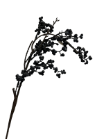 94eqhgzx65rmr0cx8fsrd5bm40_preview_0-ezremove (1)