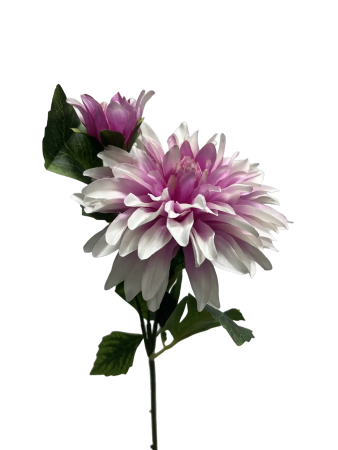 gzp6pnmjq5rmt0cx7ts8rdatgm_preview_0-ezremove